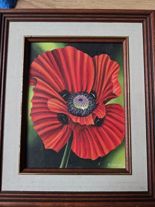 Obraz czerwony mak, Świtała