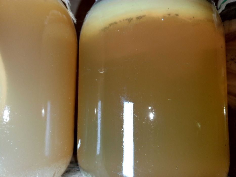 Зоотовары Уксусная матка для животных.