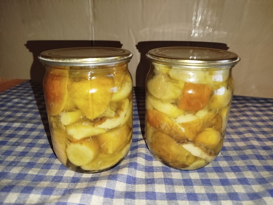 Мариновані гриби