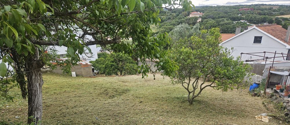 Limpeza de terreno e jardim
