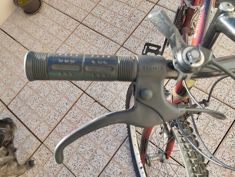 Bicicleta para desocupar