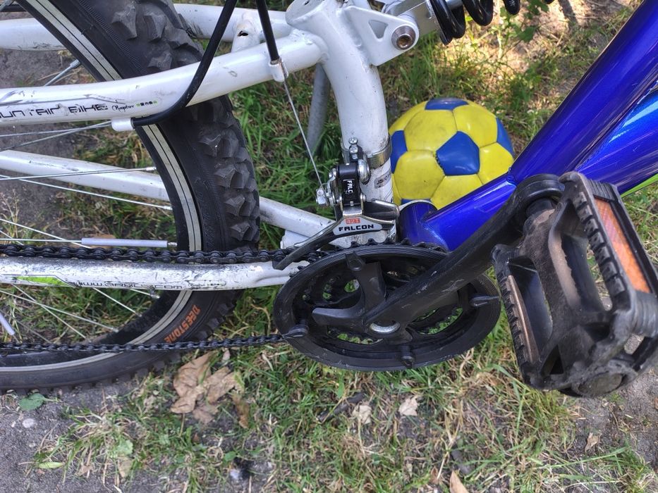 Rower Forester Raptor