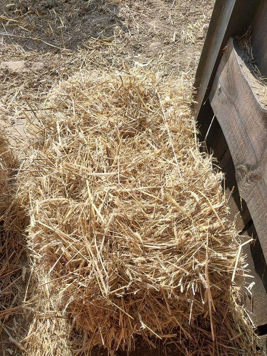 Siano sloma w snopkach polska kostka