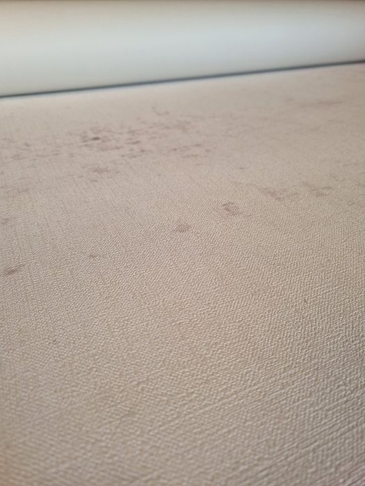 Fototapeta Baletnica w tańcu winylowa na flizelinie 360 g NOWA