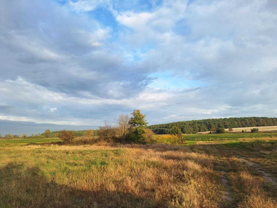 Dębki, bezpośrednio, wyjątkowa i urokliwa, duża działka BUDOWLANA 2172 m² - View 4