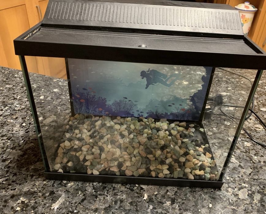 Aquário e acessórios