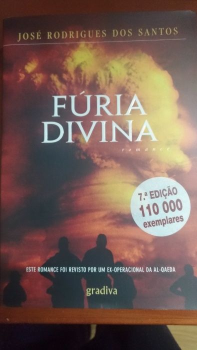 Divine Fury by José Rodrigues dos Santos