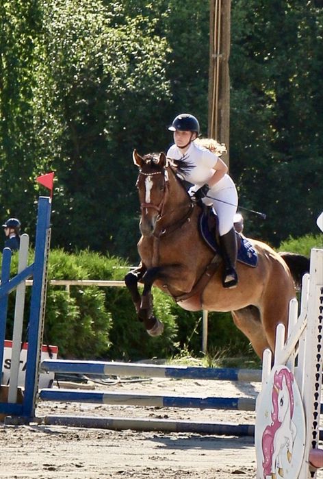 Klacz 5 lat 170cm bezpieczna, zrownowazona klacz