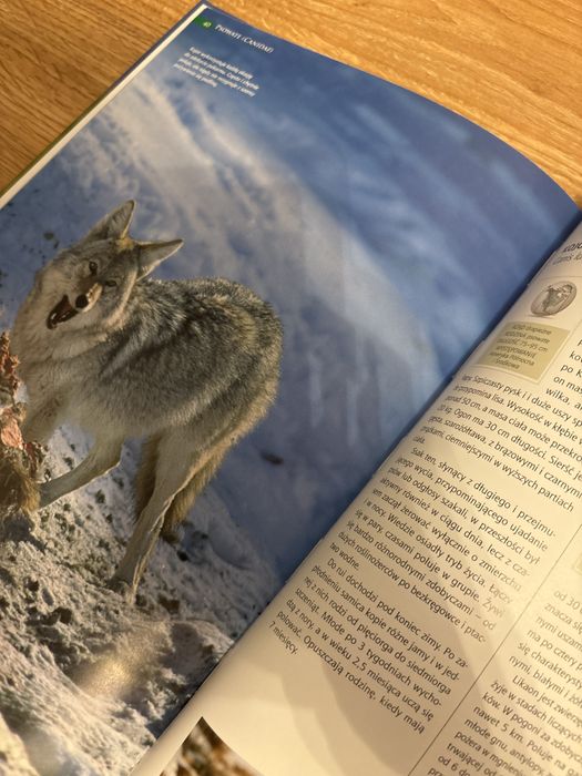 Książka zwierzęta