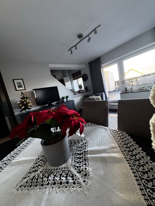 Centrum Karpacza Apartament Leonos z widokiem na Śnieżkę od 05.03