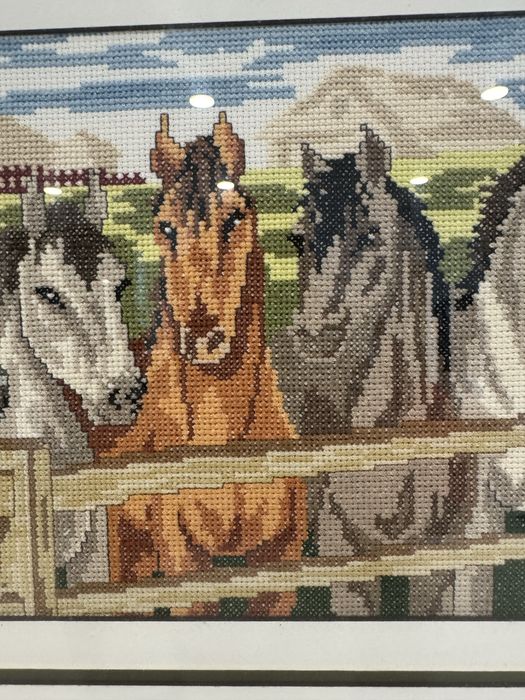 Cavalos na quinta