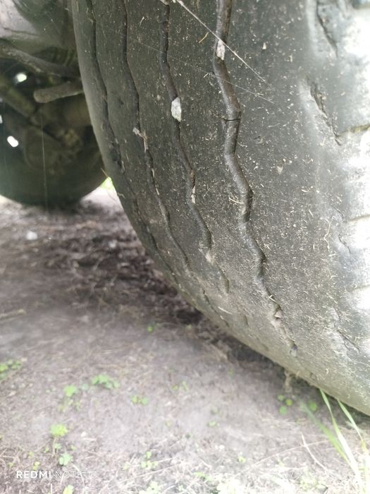 Benalu 2005 року