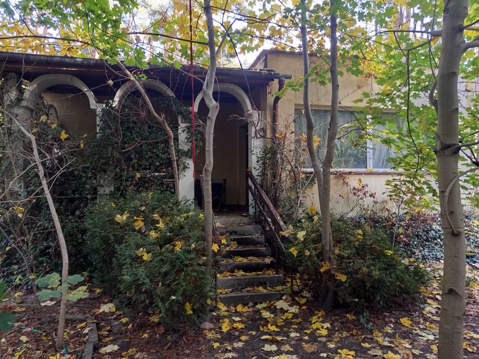 dom sokolniki las
