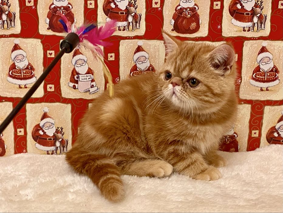 Забавні хлопчики