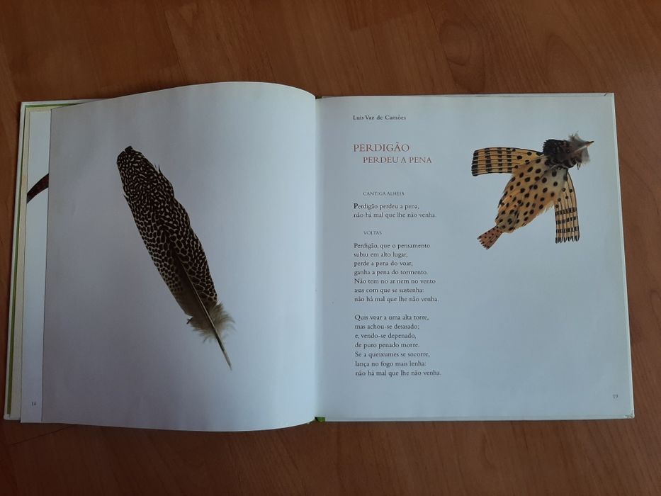 Livro "O meu primeiro álbum de poesia" de Alice Vieira; Ilustração: Da