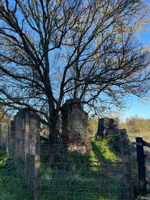 Terreno com ruina no meio do campo