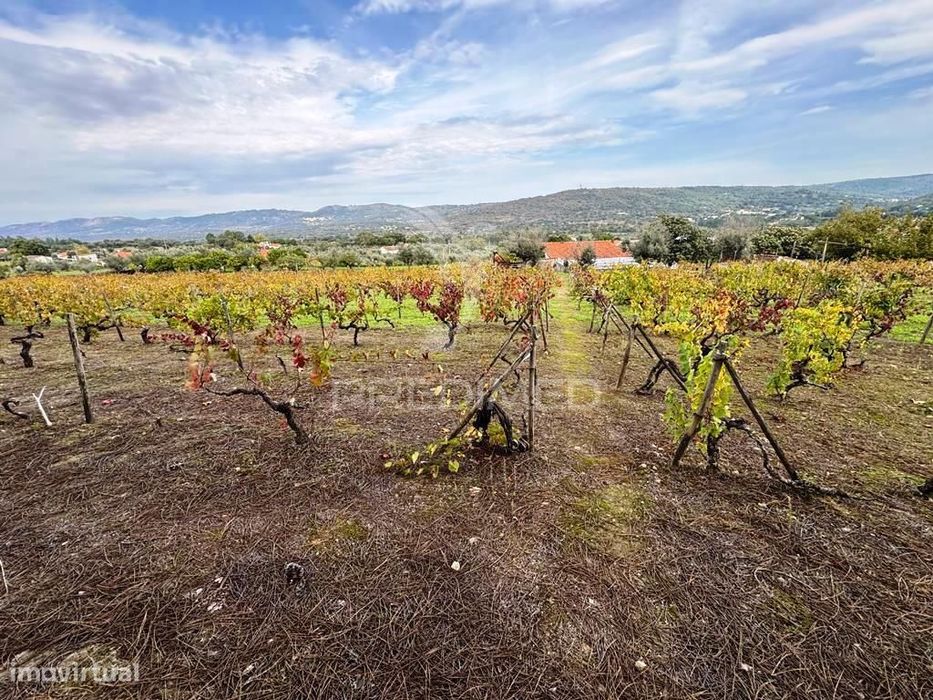 Quinta Rural T4
