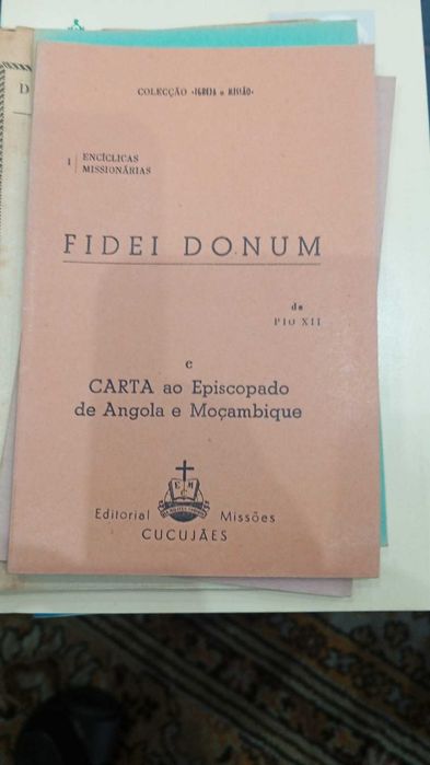 Pio XII, Fidei Donum