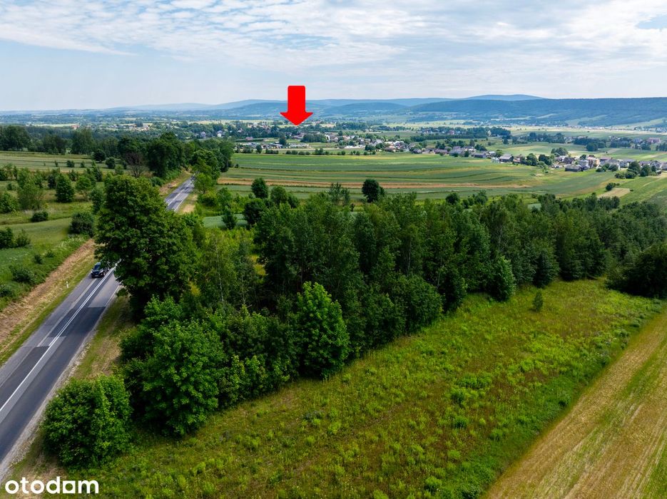 Działka - Wzdół Kolonia / Bodzentyn / 30km od Kielc - 6100m2
