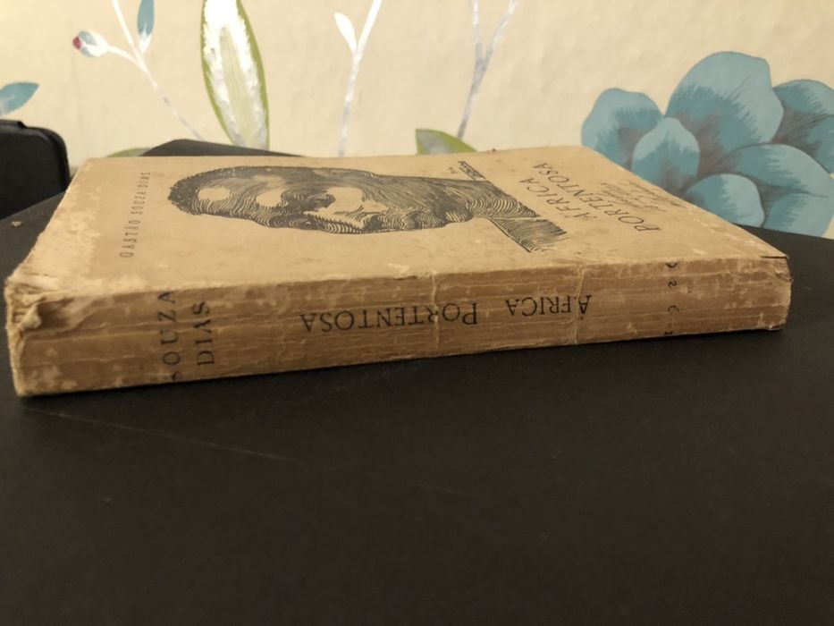 1926 Gastao Souza Dias | AFRICA PORTENTOSA (portes gratuitos)
