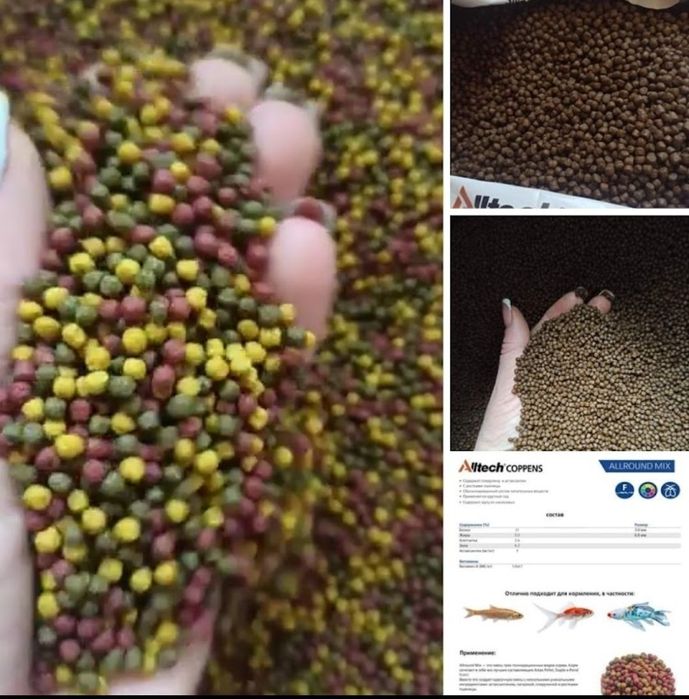 #coppens,#jpd,#кормдлякоі,#коіукраїна,#мальокоі,коіціна,#рибкикоі,#koi