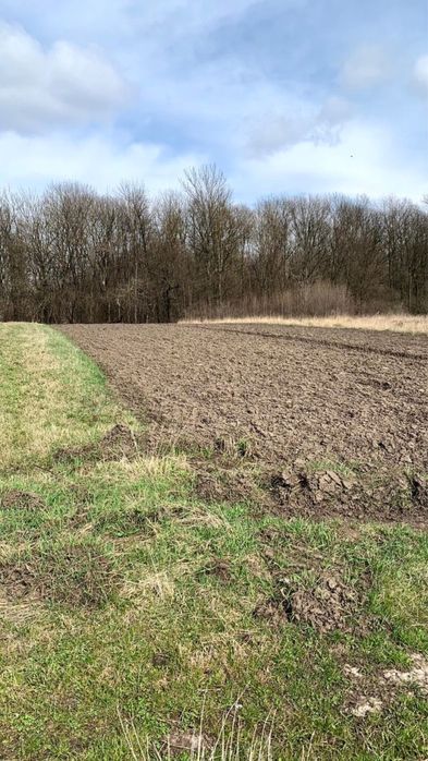 Земельна ділянка біля спортивної бази 10