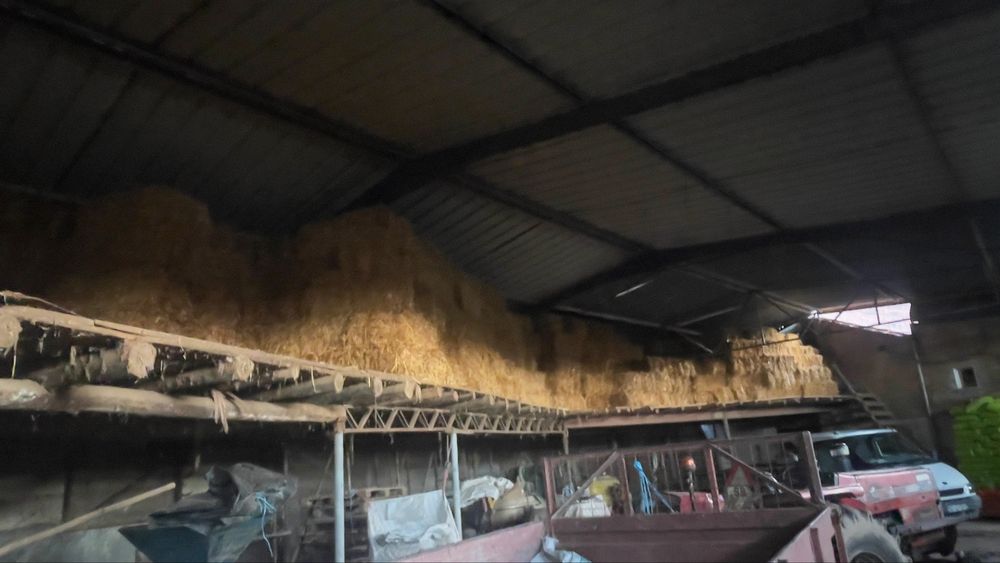 Fardos de palha de aveia