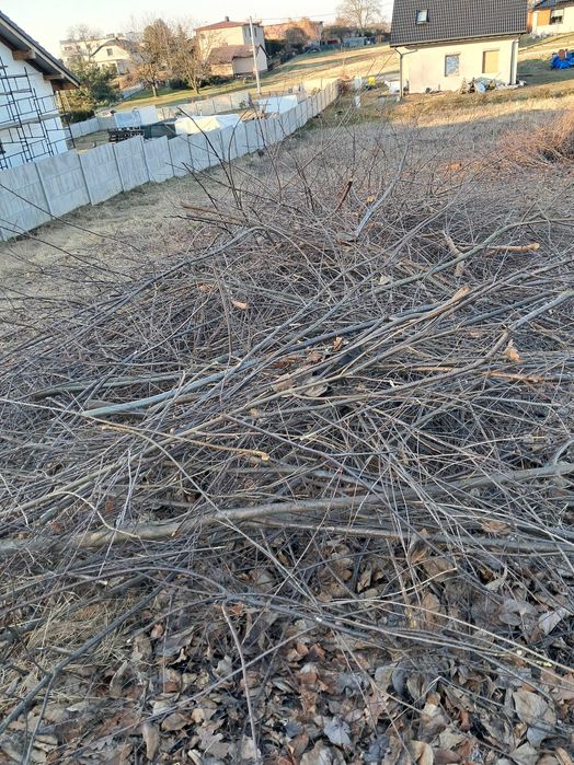 Oddam gałęzie drewno