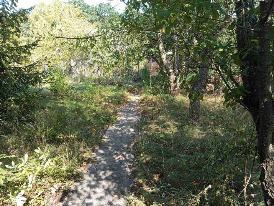 (3) Продам дачний будинок в с. Юзвин (Некрасово) 2741