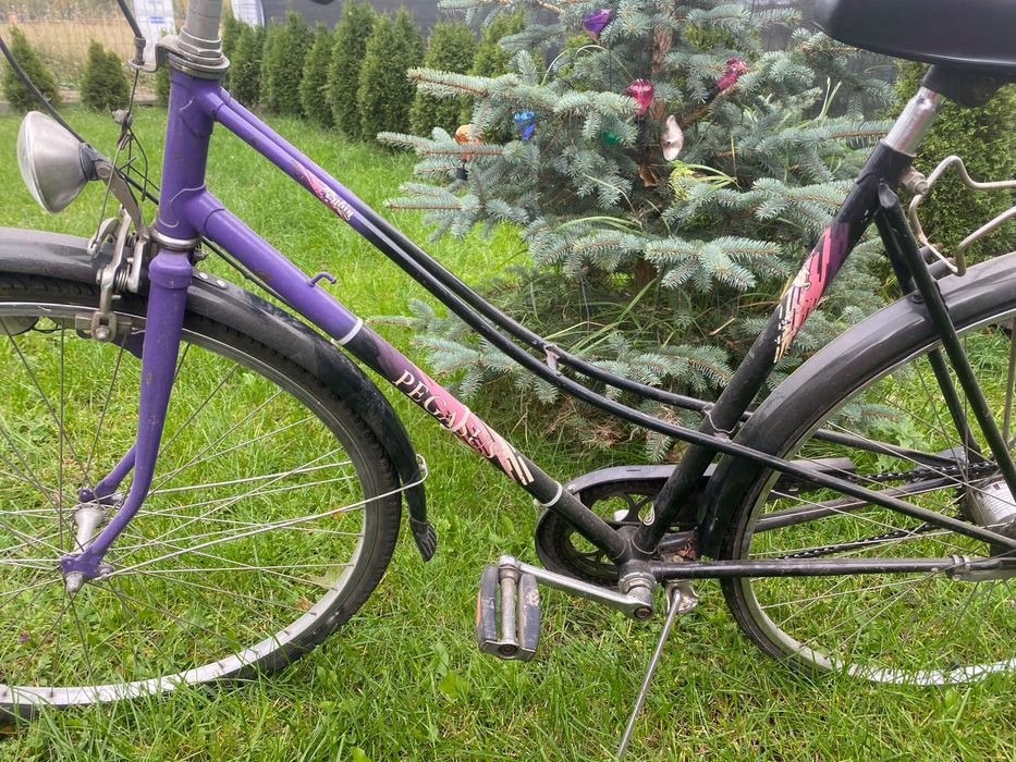 Rower damka pegasus