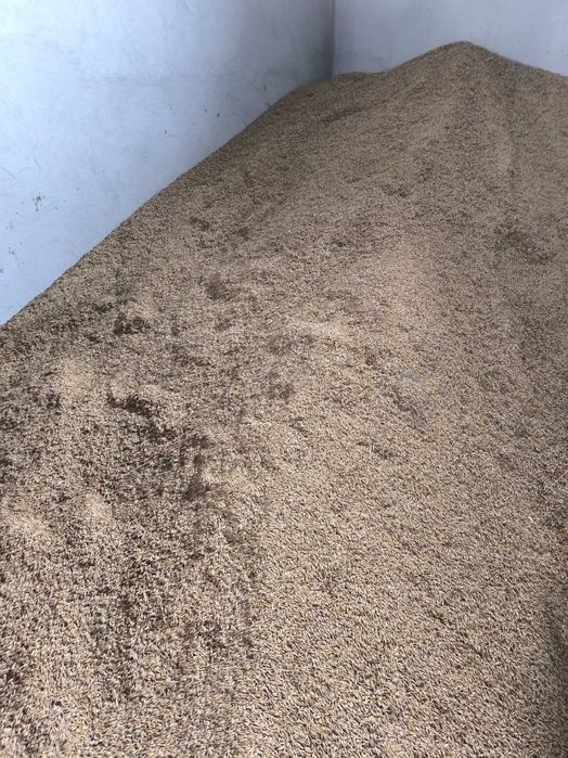 Sprzedam owies     .