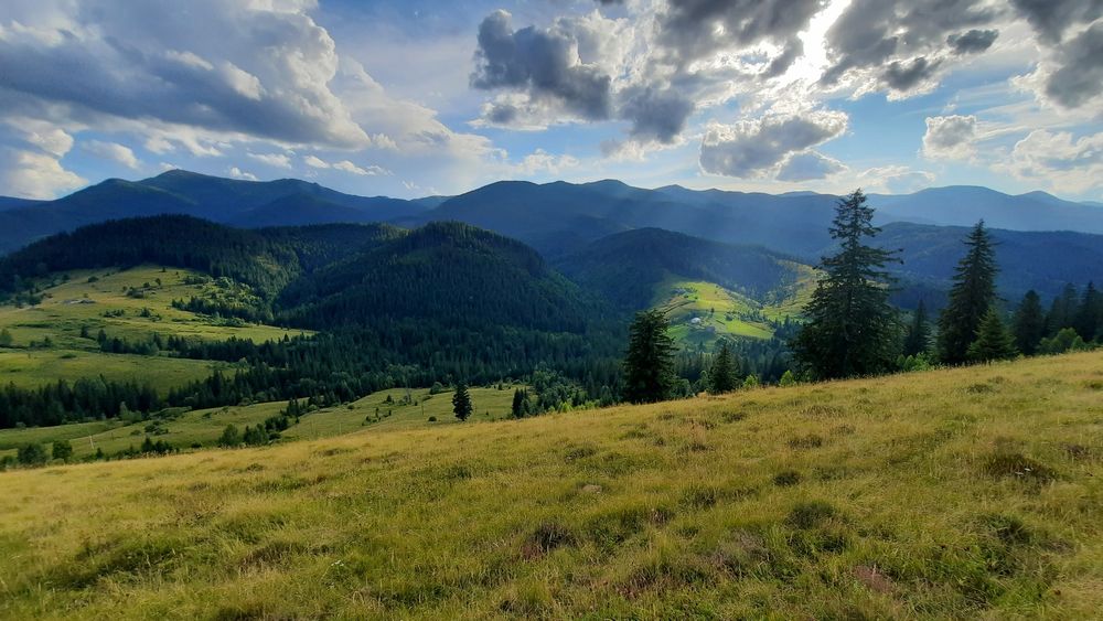Рівна ділянка, під будову. Межує з лісом. 40 соток в Дземброні