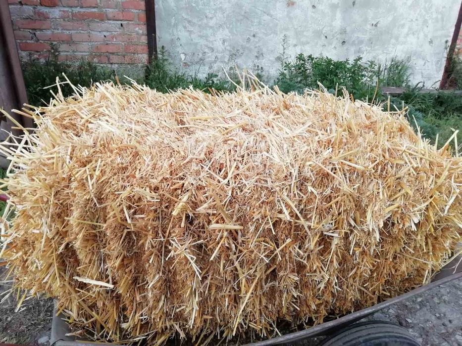 Сіной Солома в тюках урожай 2023р.