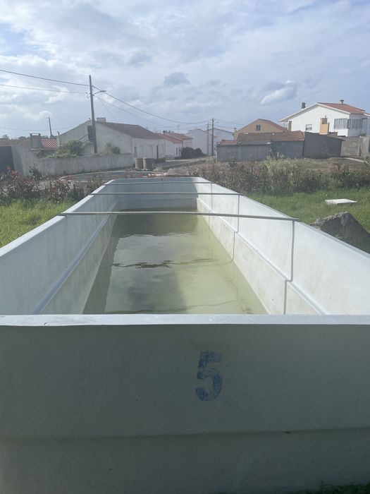Tanque piscina 8X2,5