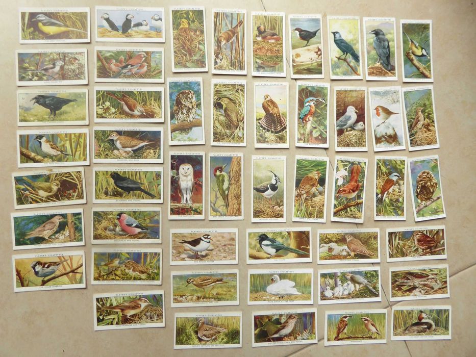 1932 cartões de tabaco "Wild Birds" - pássaro selvagens