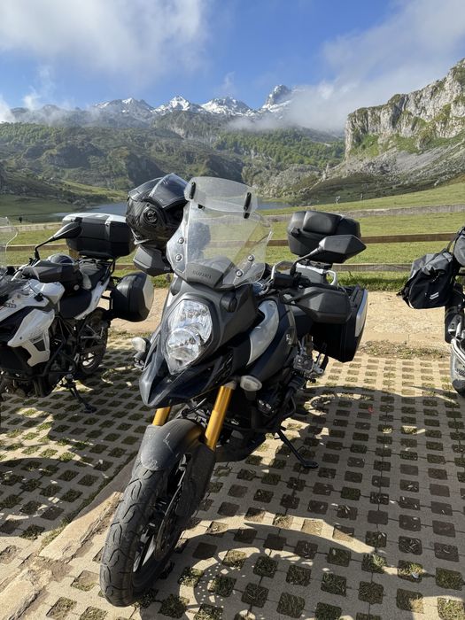 Suziki v strom dl 1000