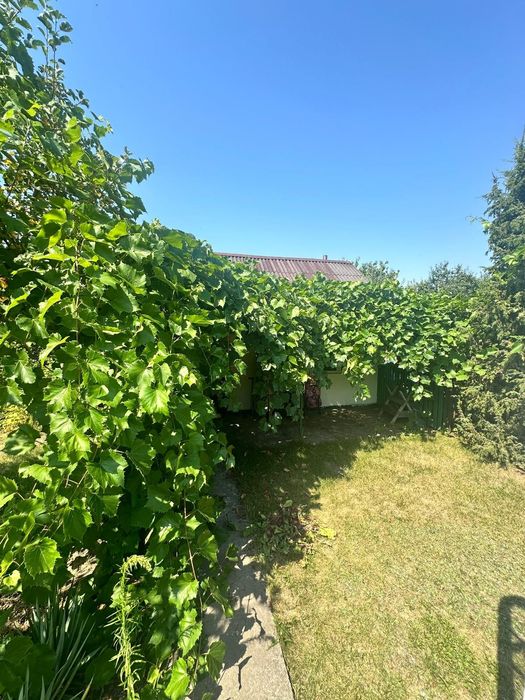Sprzedam ogródek działkowy 450 m2 w Ogrodach Działkowych ,,Kwitnąca Dolina"