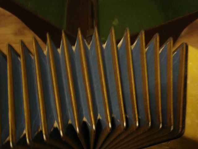 Akordeon Pirandelli 60 basów