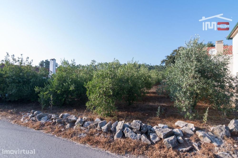 Terreno Rustico Com Area De 2140 M2 Com Olival Em Bouceiros Porto D... — Alqueidão da Serra, Leiria