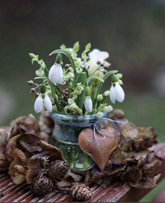 Przebiśniegi w szkle na wianku z suszonych kwiatów hortensji i szyszek