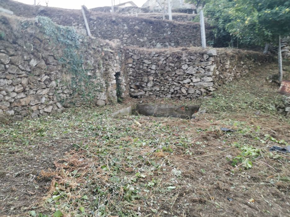 Terreno Quinta Vale Cambra Costa Anelha 0,5HA