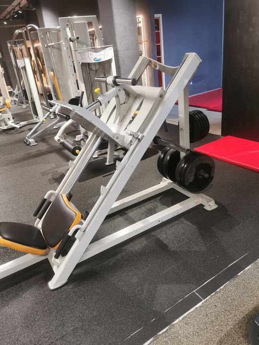 Жим ногами під кутом вадзарі