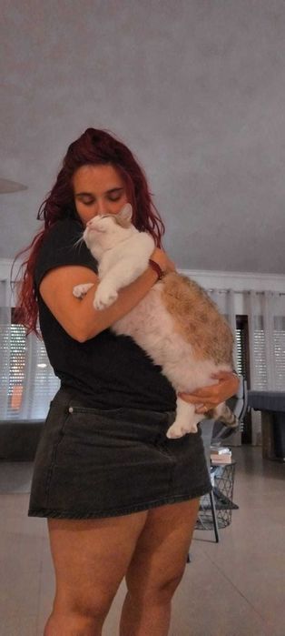 Pet Sitting Profissional – Cuidados e Carinho ao Domicílio