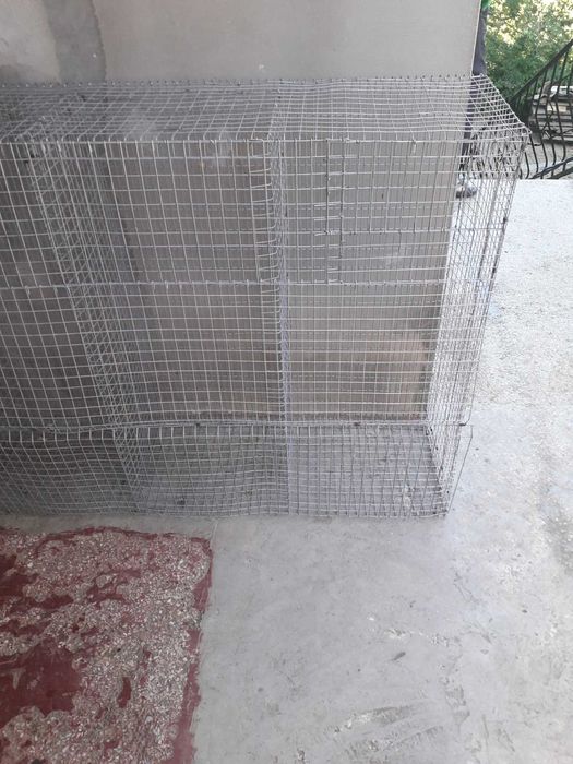 Продаж кліток для кролів