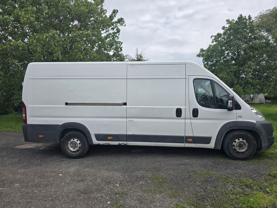 Transport busem Ducato maxi