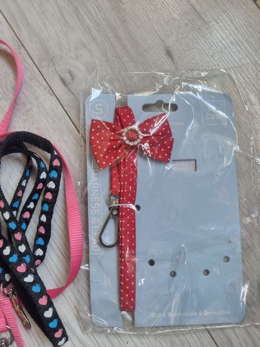 Nowe smycze dla pieska