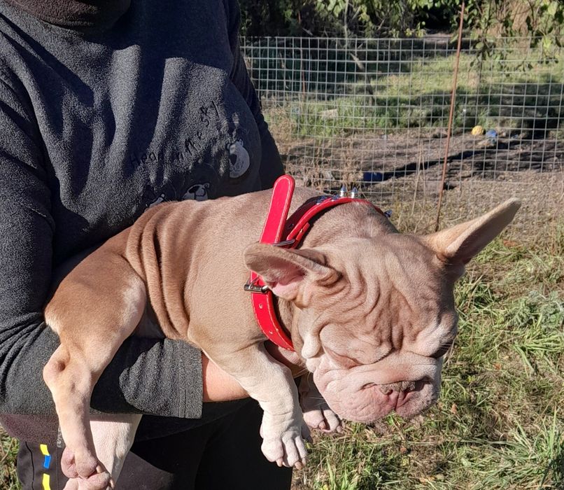 Биг роп ньюшейд роджо тан вельвет носій флаффі