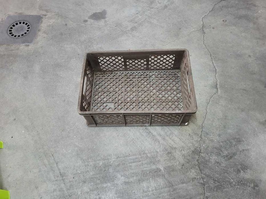 Cesta em Plástico64585194246019121