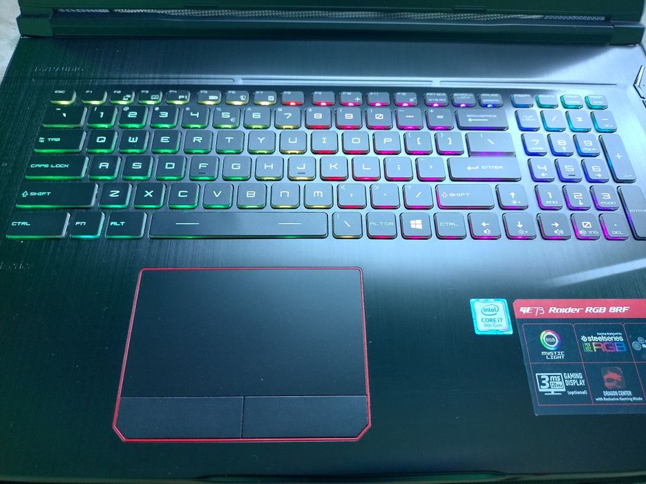 MSI GE73 Raider RGB 8RF