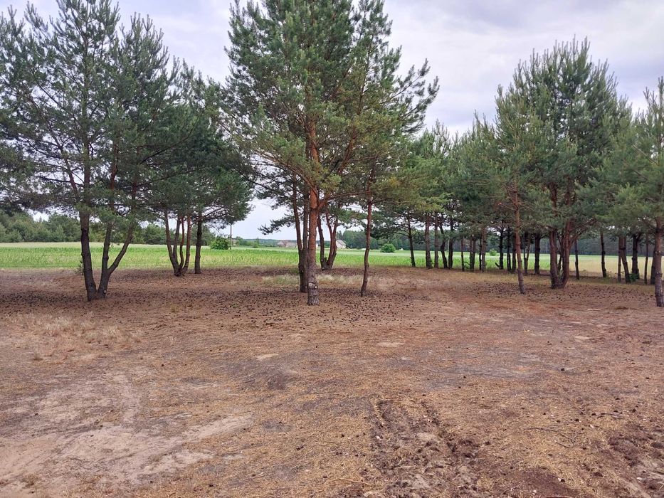 sprzedam działkę budowlaną , warunki zabudowy szablaki kolno podlaskie